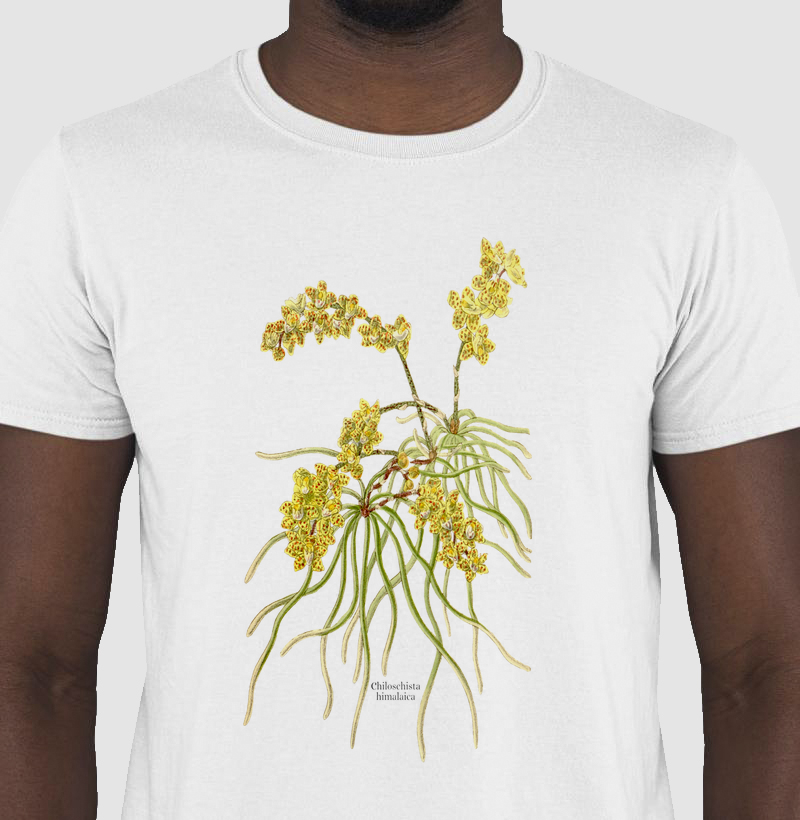 Camiseta Chiloschista himalaica