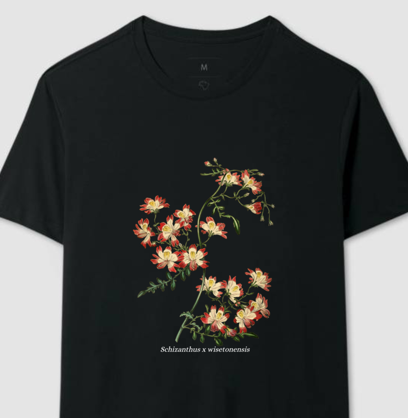 Camiseta Schizanthus x wisetonensis