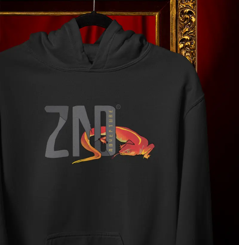 74 ZND - Logo