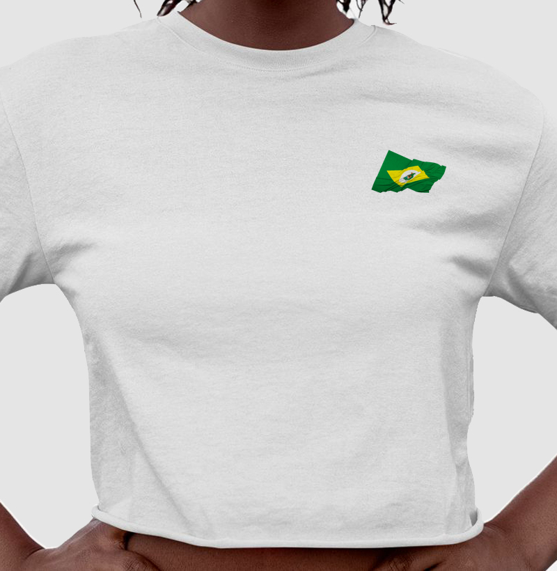 Bandeira do Ceará