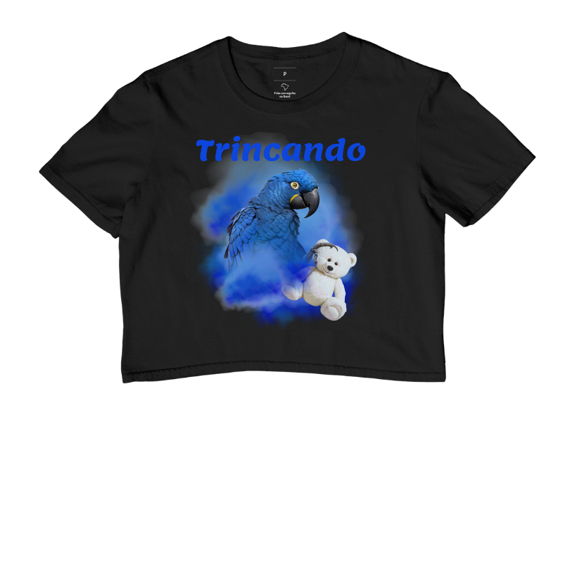Arara com urso