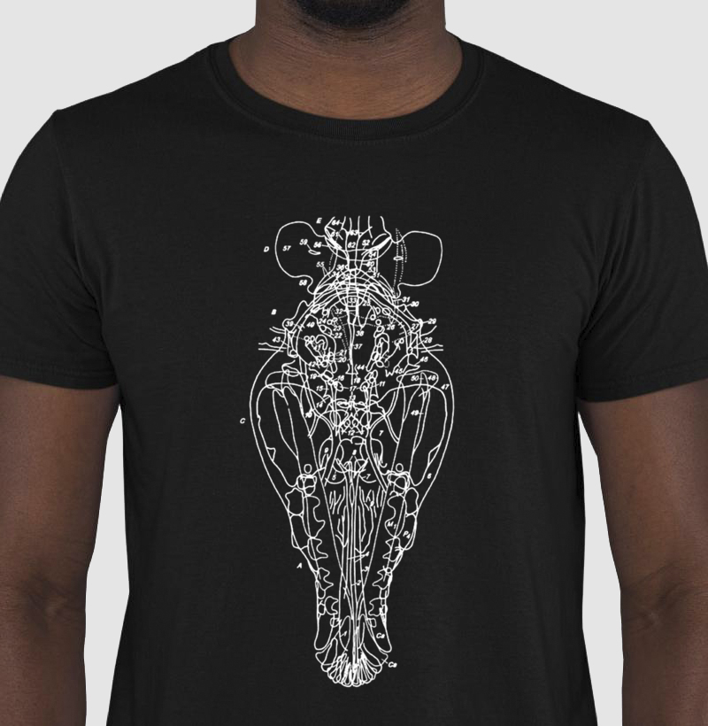 Camiseta Skul Black & cores diversas