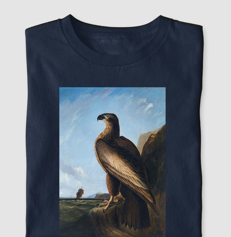 Washington Sea Eagle