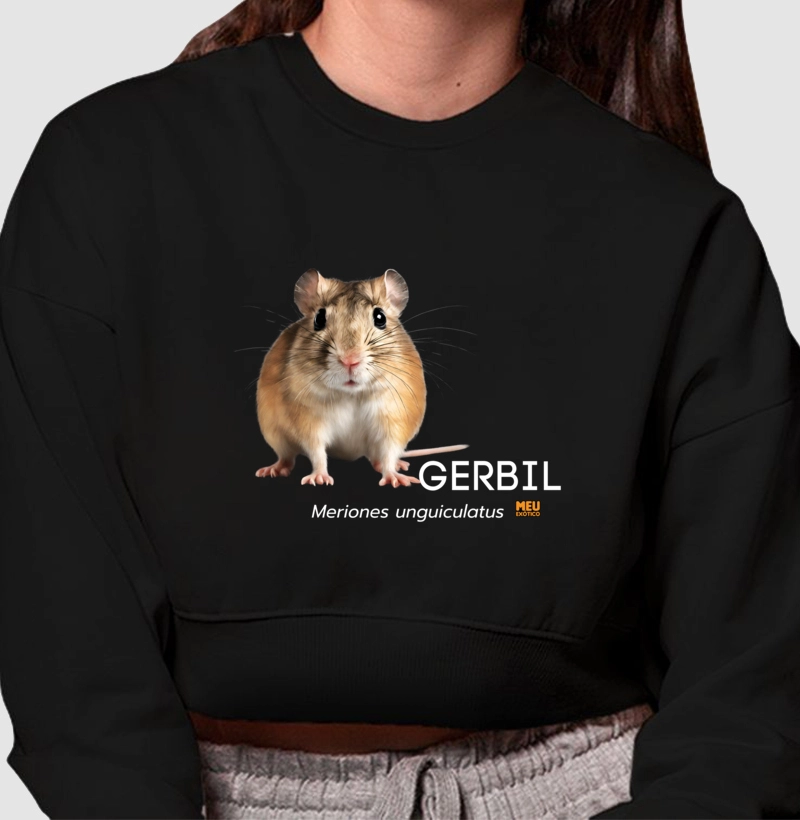 Gerbil III
