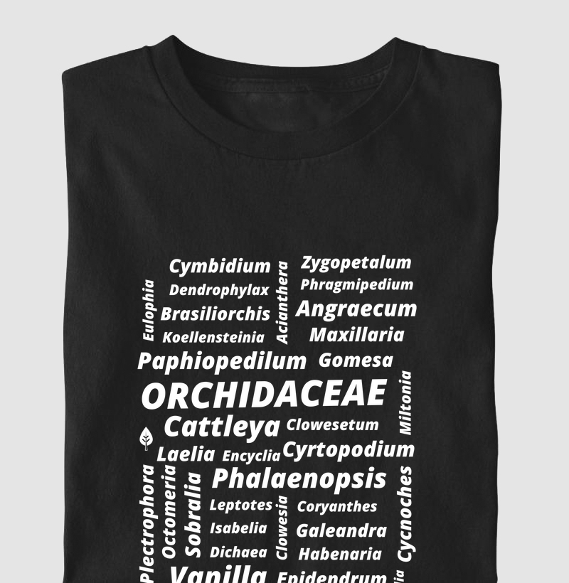 Família Orchidaceae 
