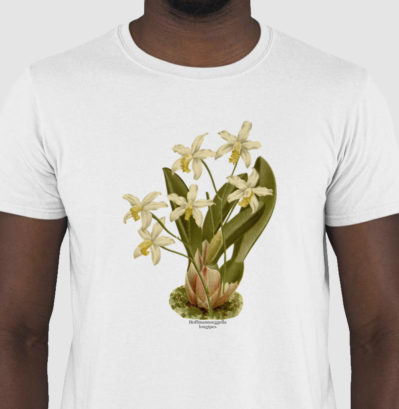 Camiseta Hoffmannseggella (Laelia) longipes