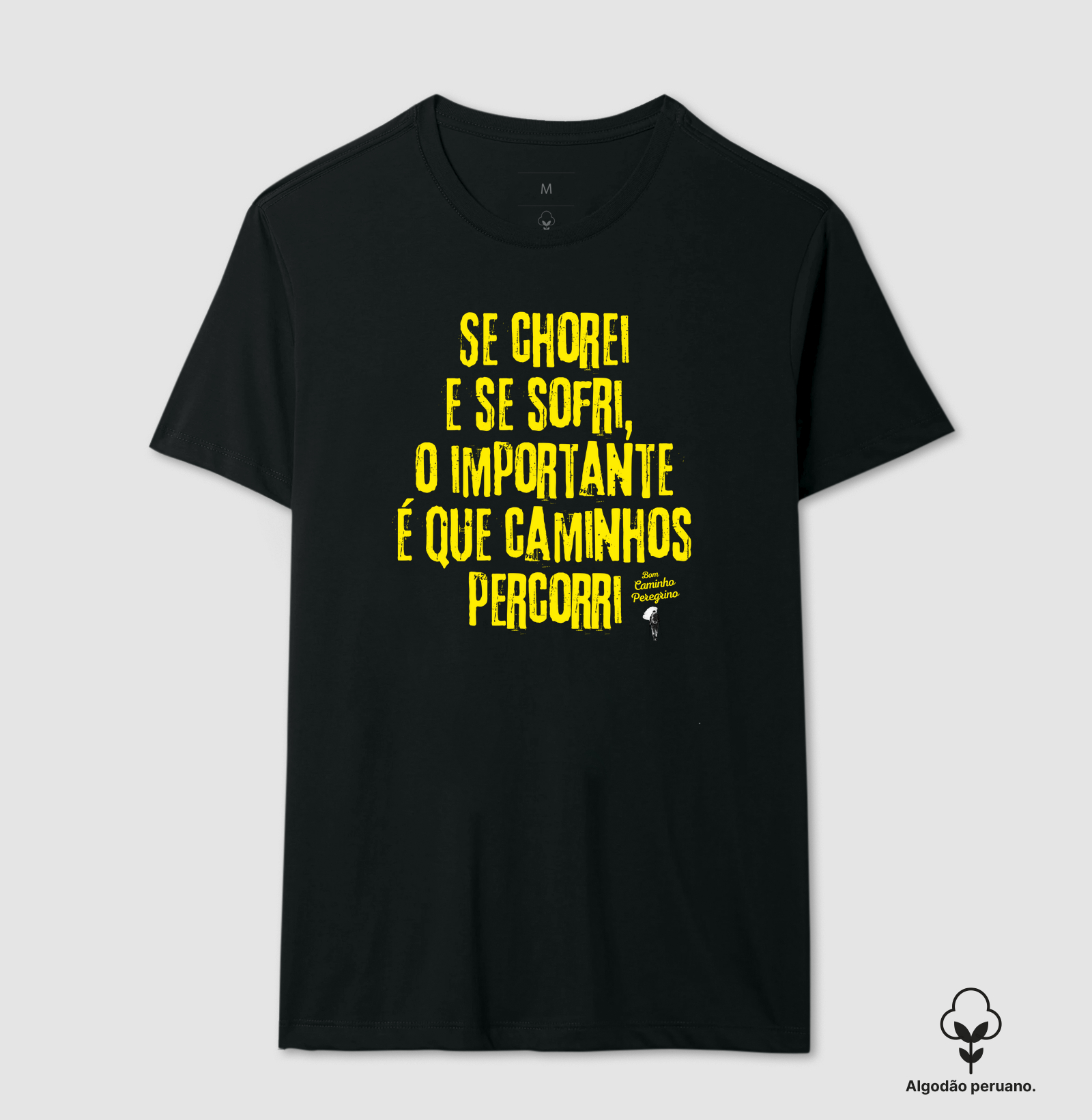Se Chorei e Se Sofri, o Importante é que Caminhos Percorri