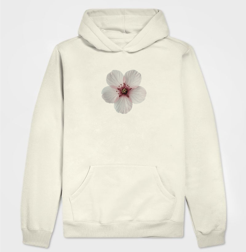 Sakura – A Beleza do Agora