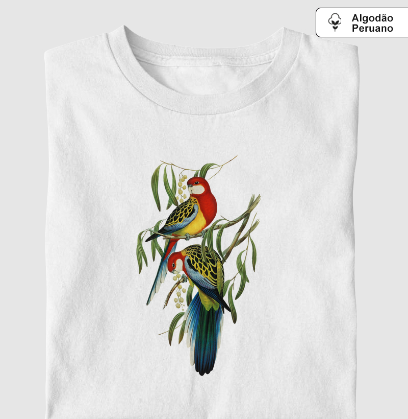 Rose-hill Parakeet