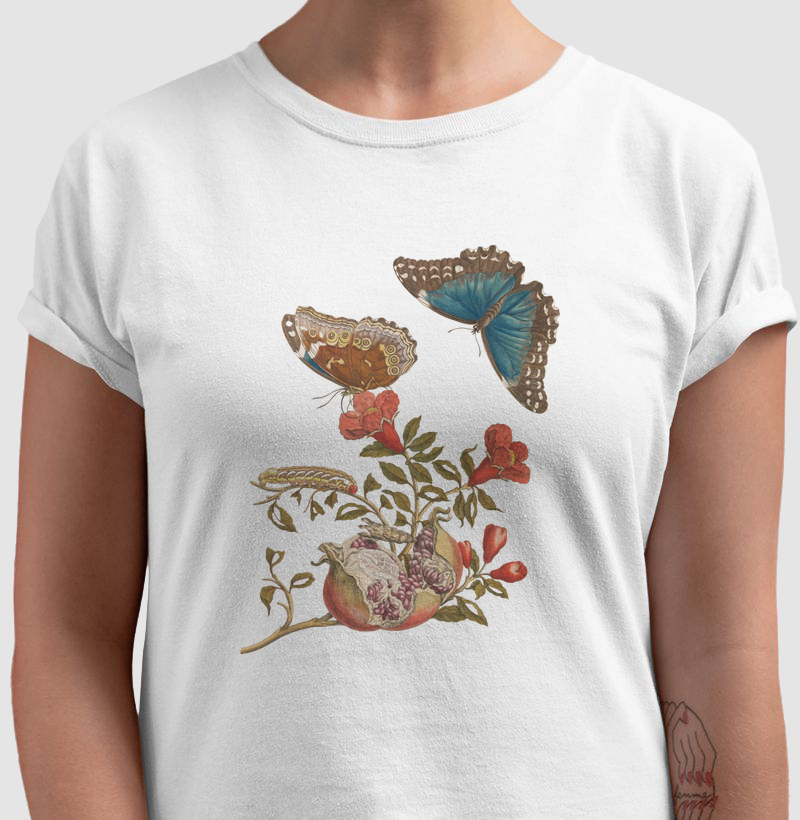 Metamorfose de Merian II (1705)