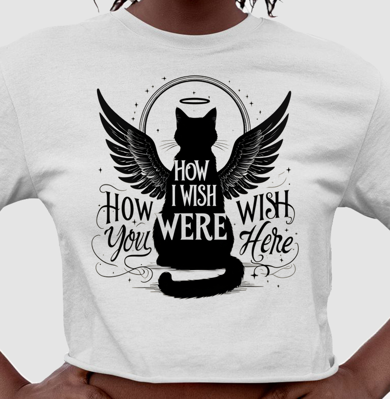 Gato Anjo - Saudade Eterna