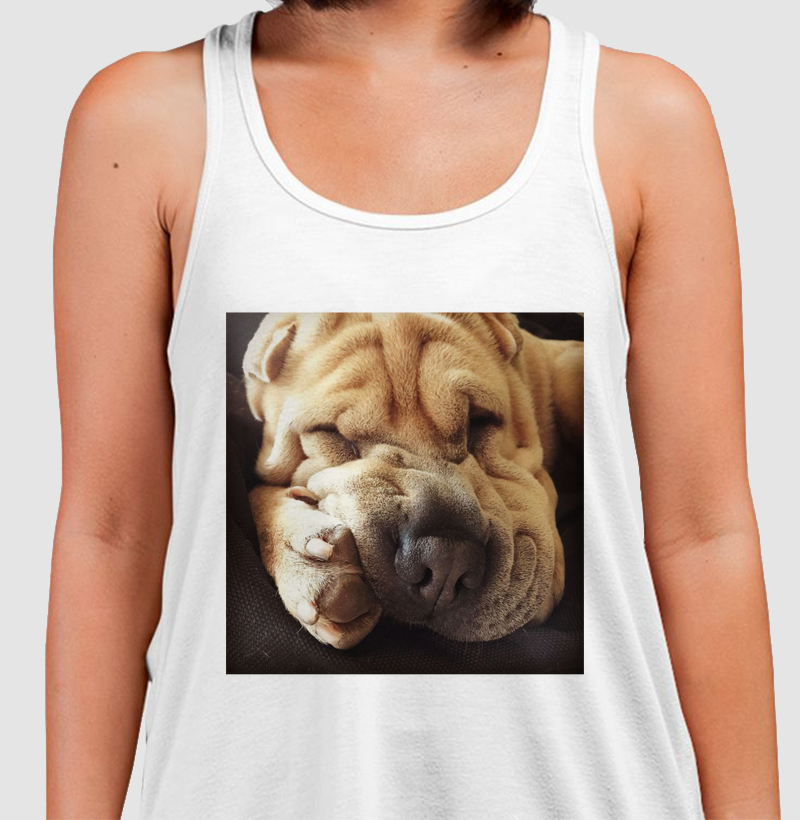 Sleeping Sharpei - Regata