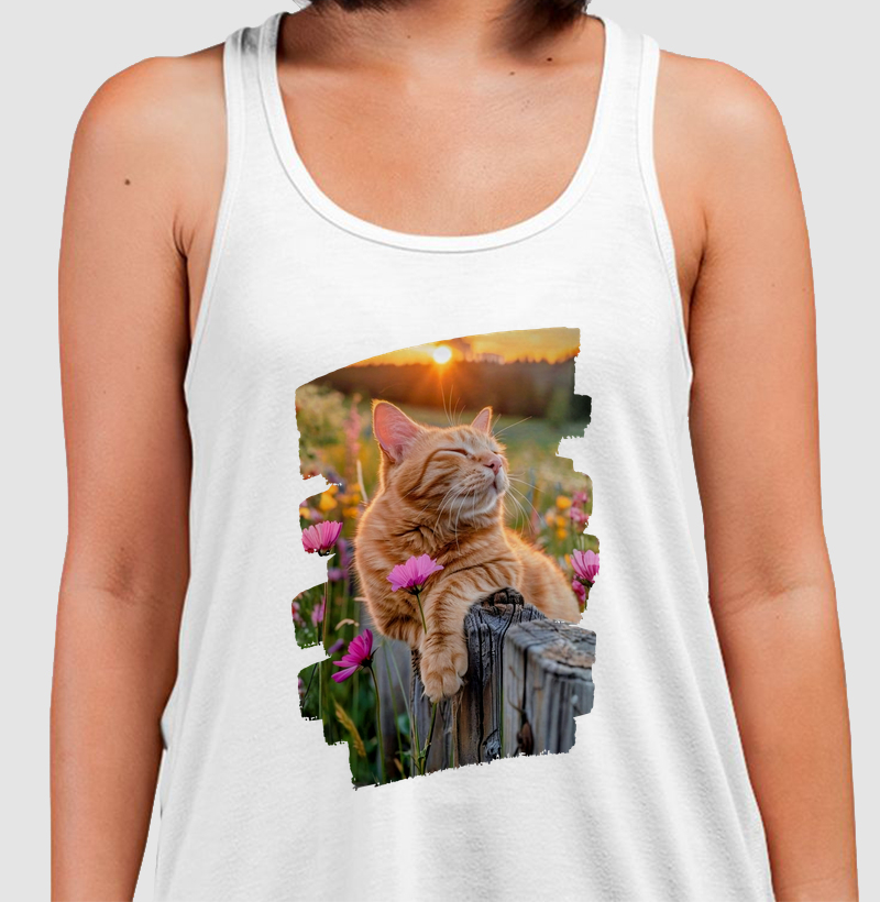 Gato Laranja no Pôr do Sol