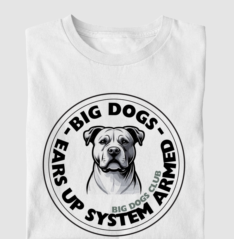 Ears Up American Bully