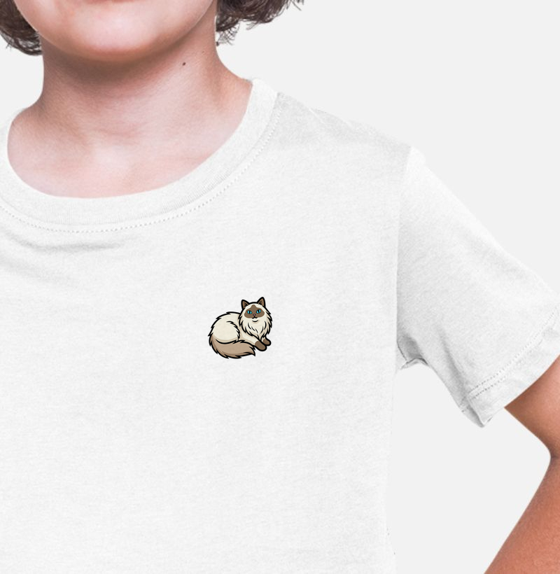 Gato Ragdoll Minimalista