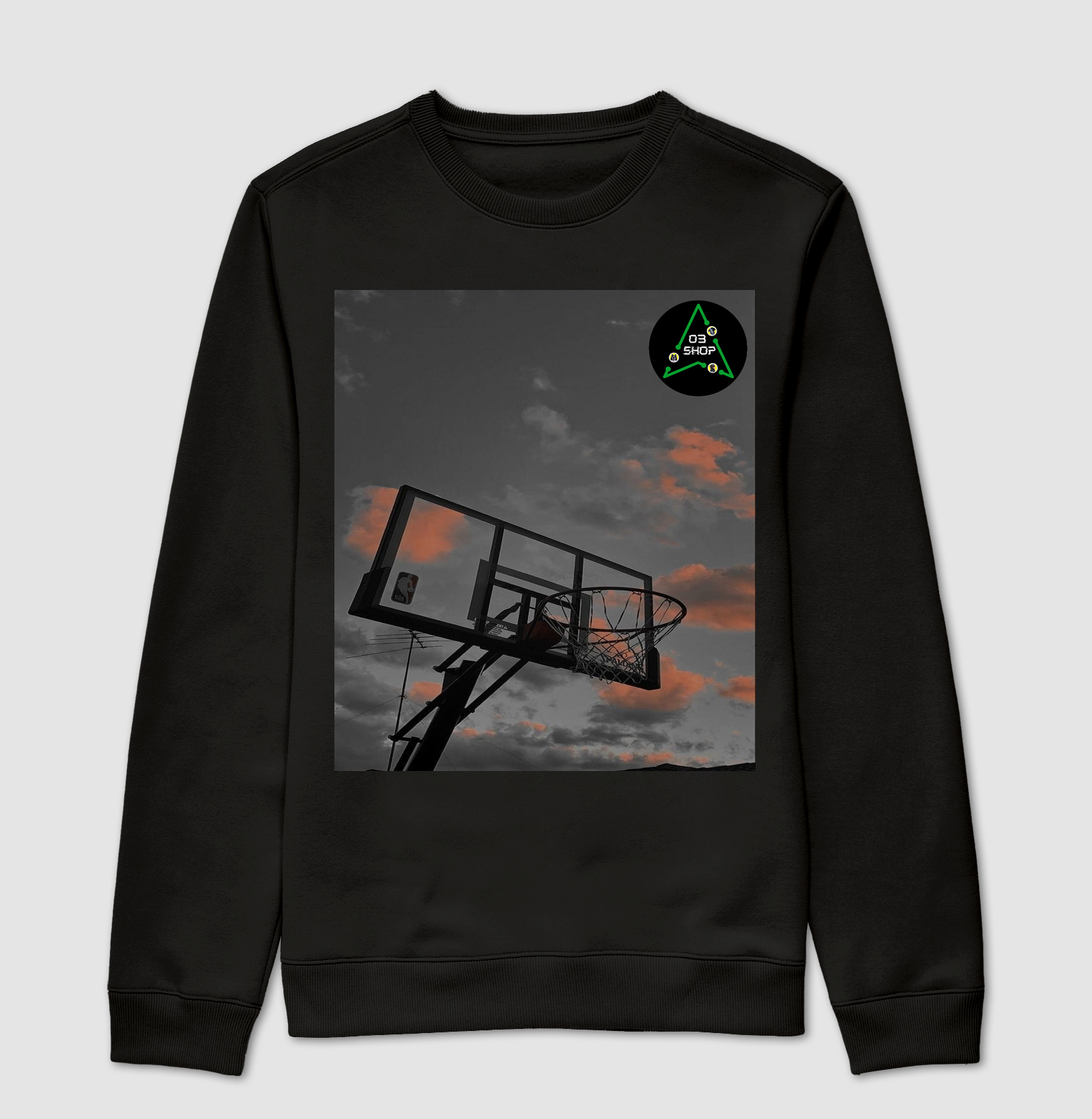Fly