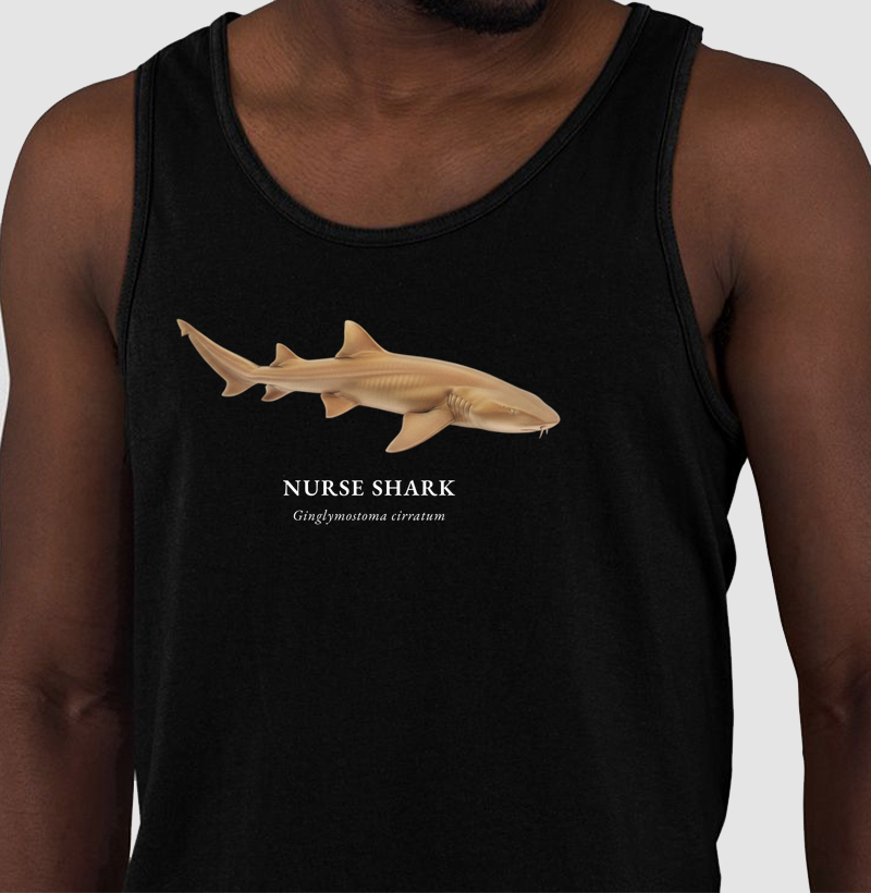 Nurse Shark