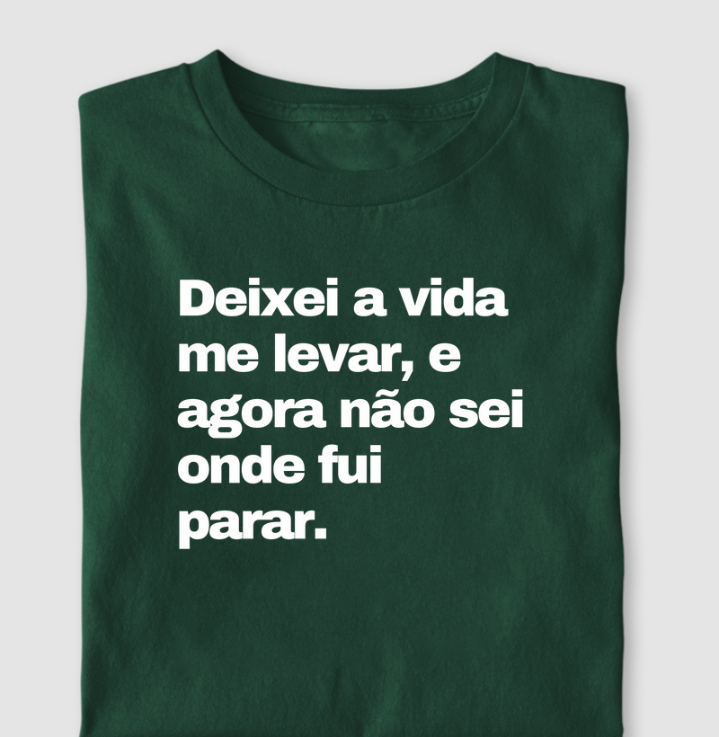 Deixei a vida me levar