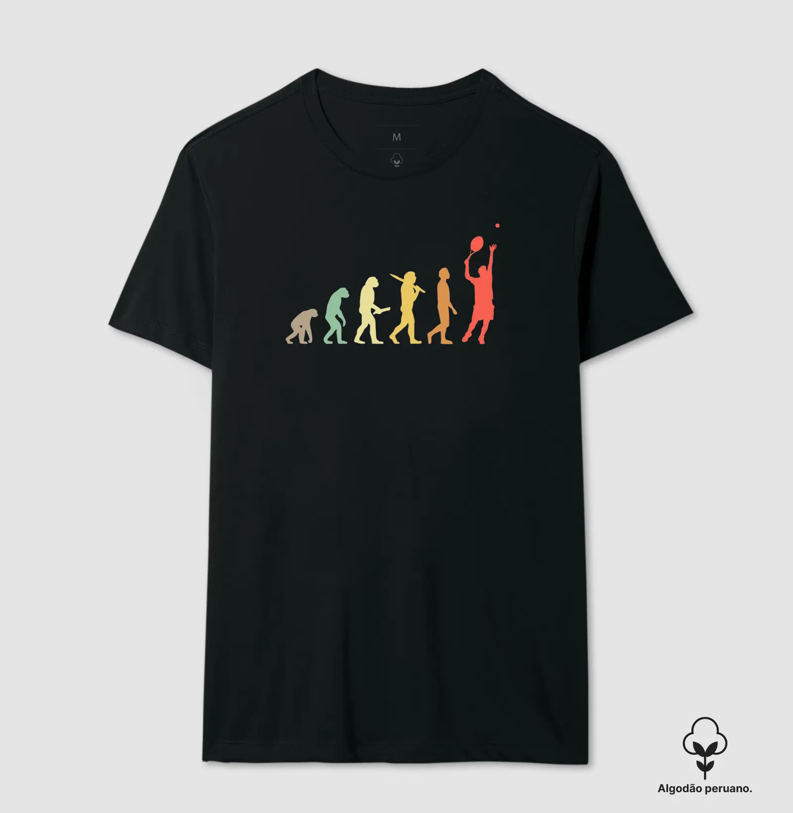 EVOLUÇÃO
