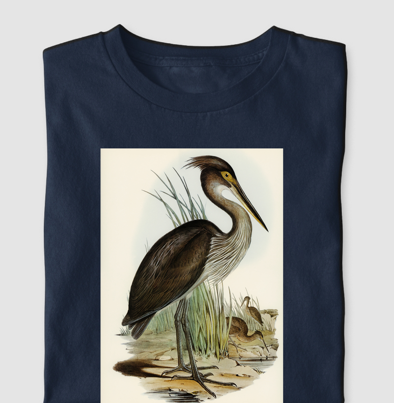 Ardea rectirostris