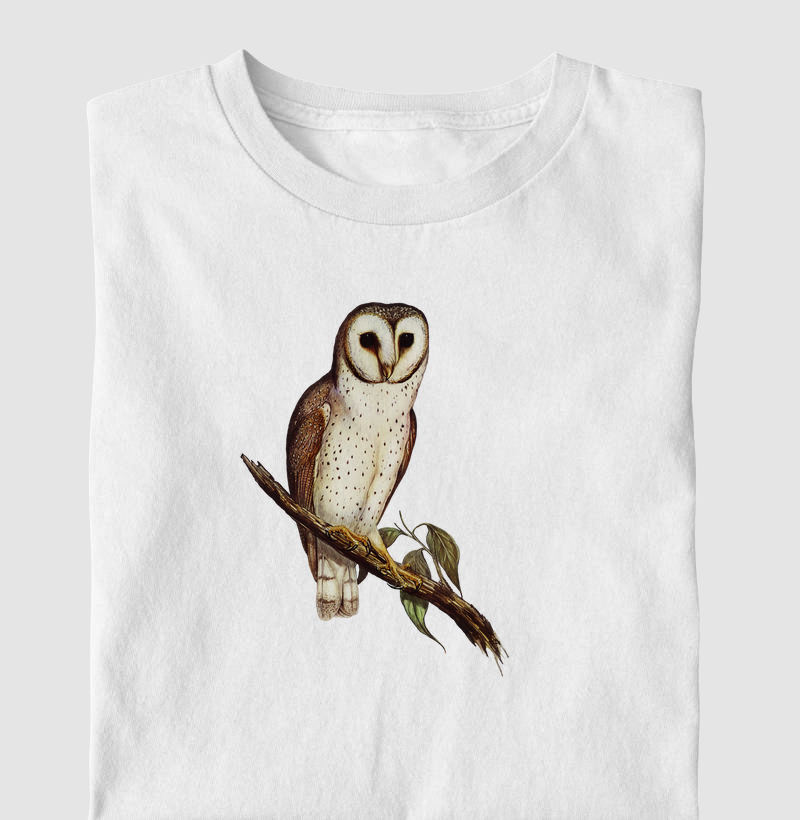 Delicate Owl