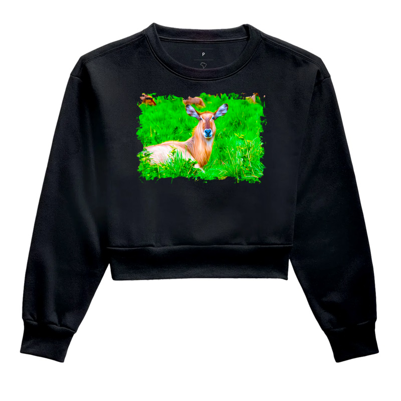 SAFARI PINTURA