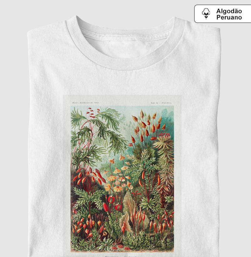 Muscinae–Laubmoose