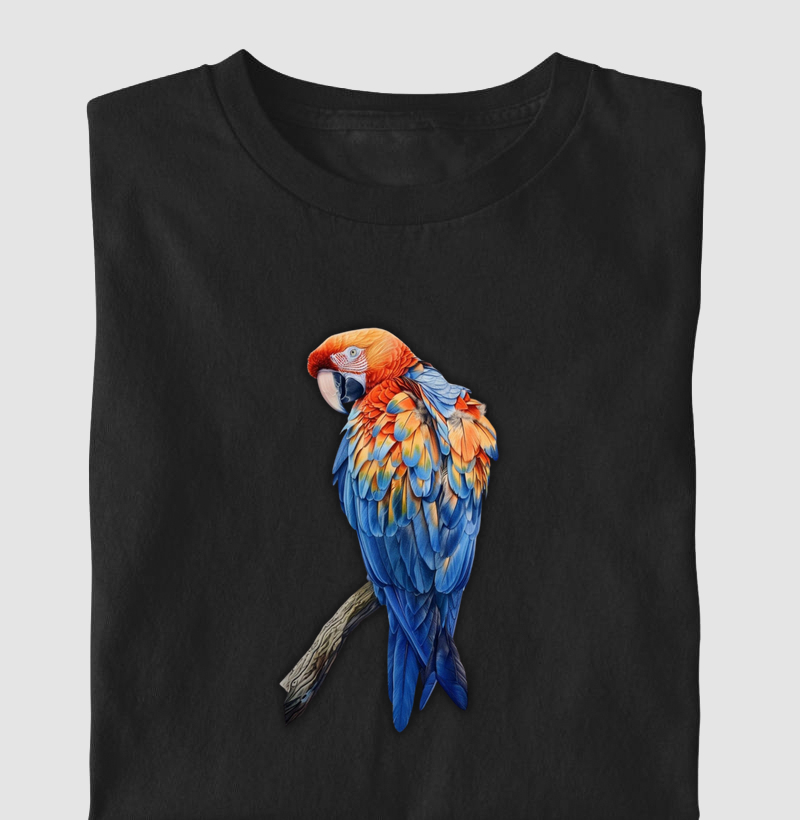 Arara