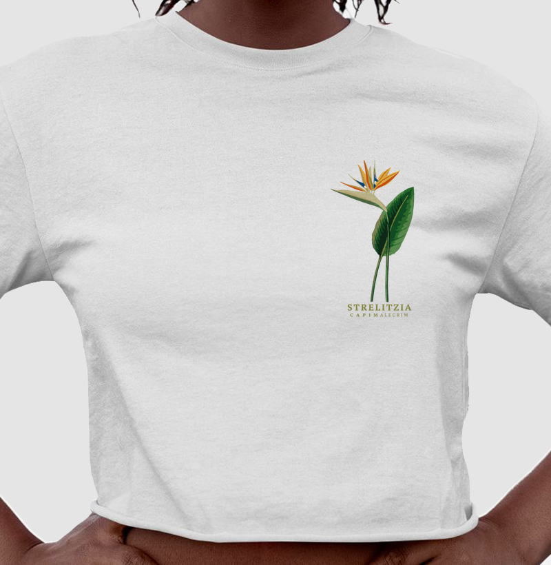 Cropped Strelitzia