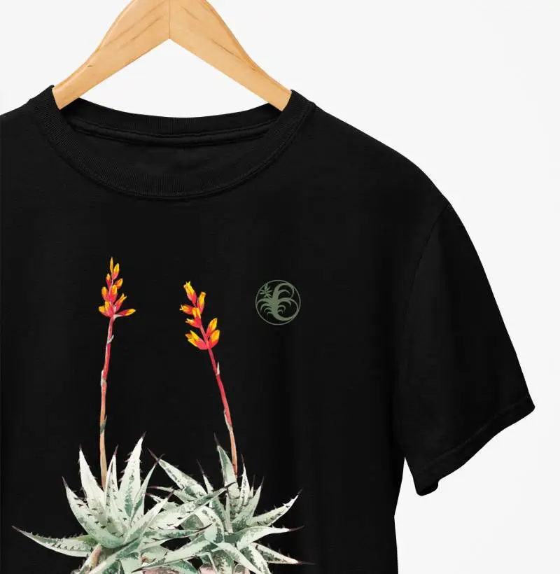 DYCKIA INCANA