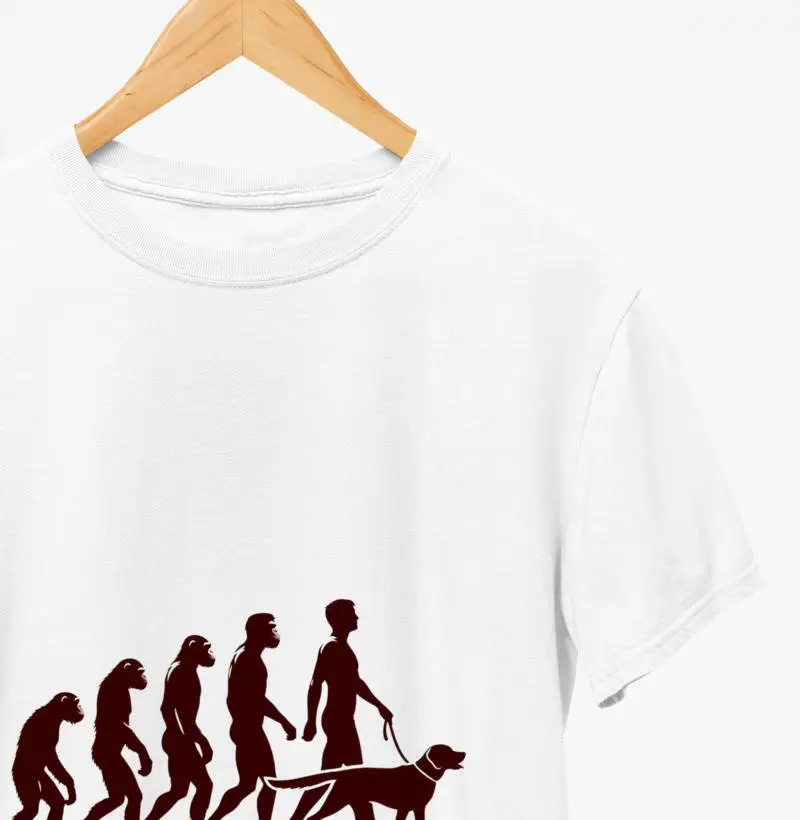 Camiseta / evolução 