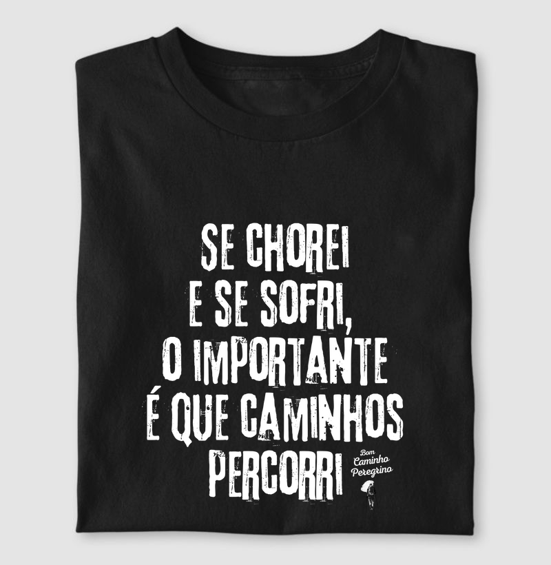 Se Chorei e Se Sofri, o Importante é que Caminhos Percorri