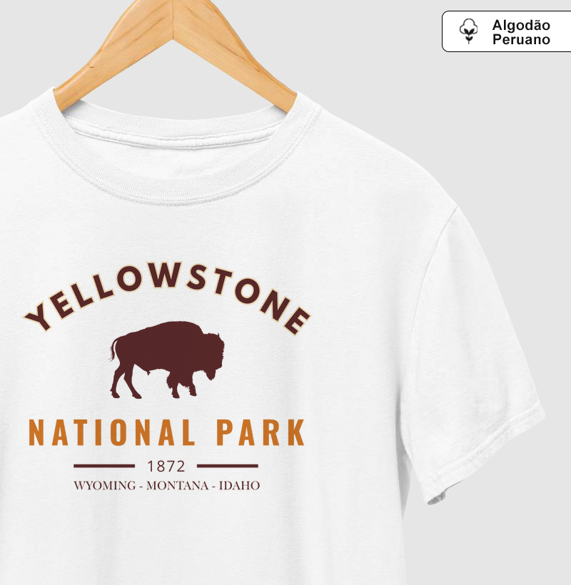 Yellowstone - Bison