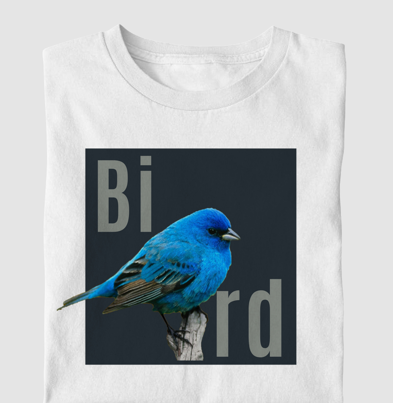 Camiseta Infantil Algodão com Estampa Bird Azul – BeJoe