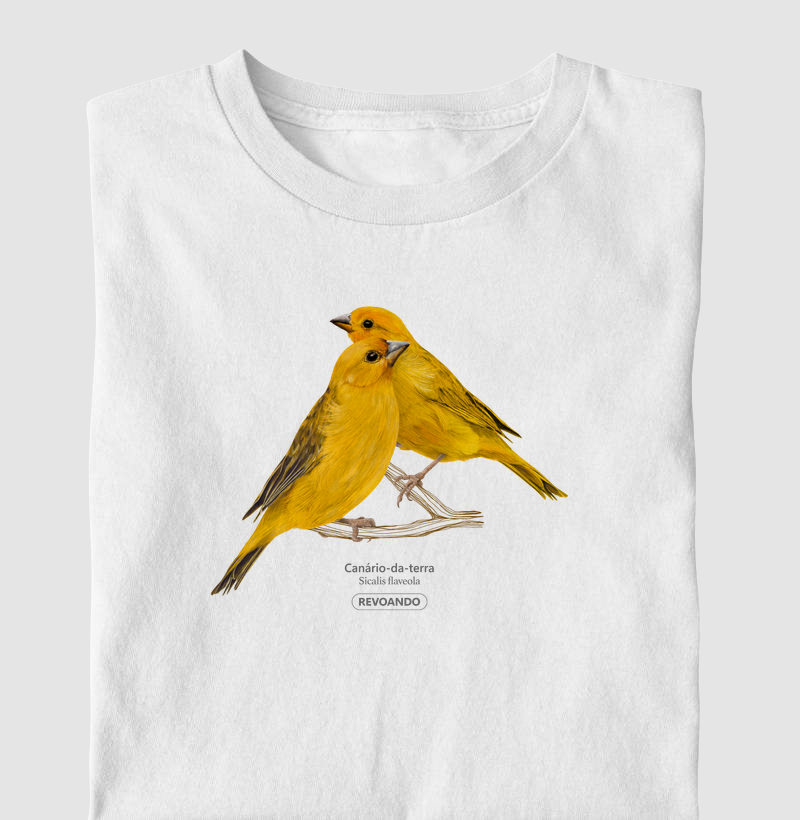 Inky Aves - Canário-da-terra II