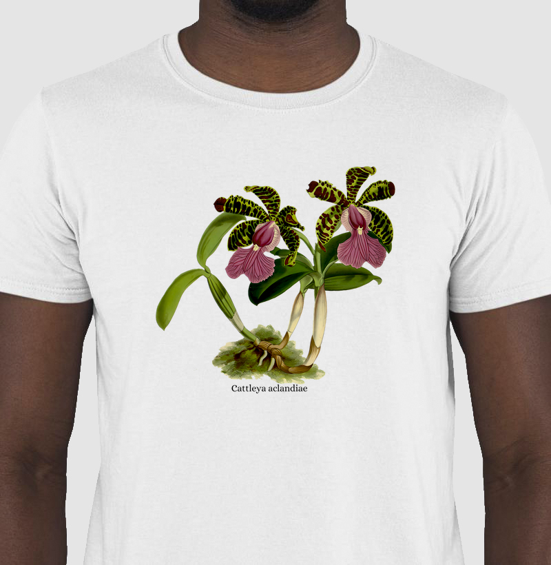 Camiseta Cattleya aclandiae tshirt