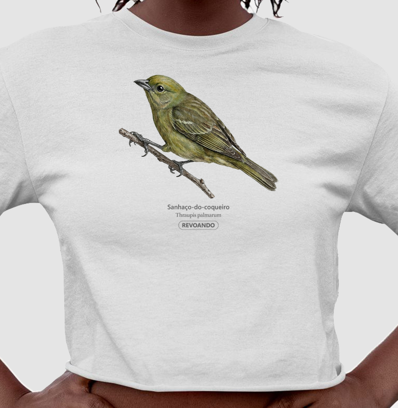 Traços Alados - Sanhaço-do-coqueiro - Cropped