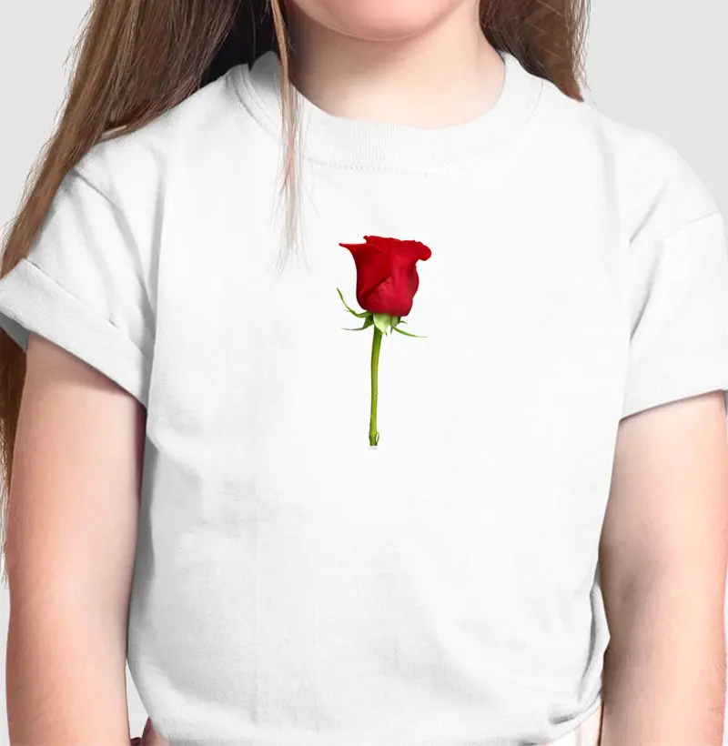 Botão de Rosa
