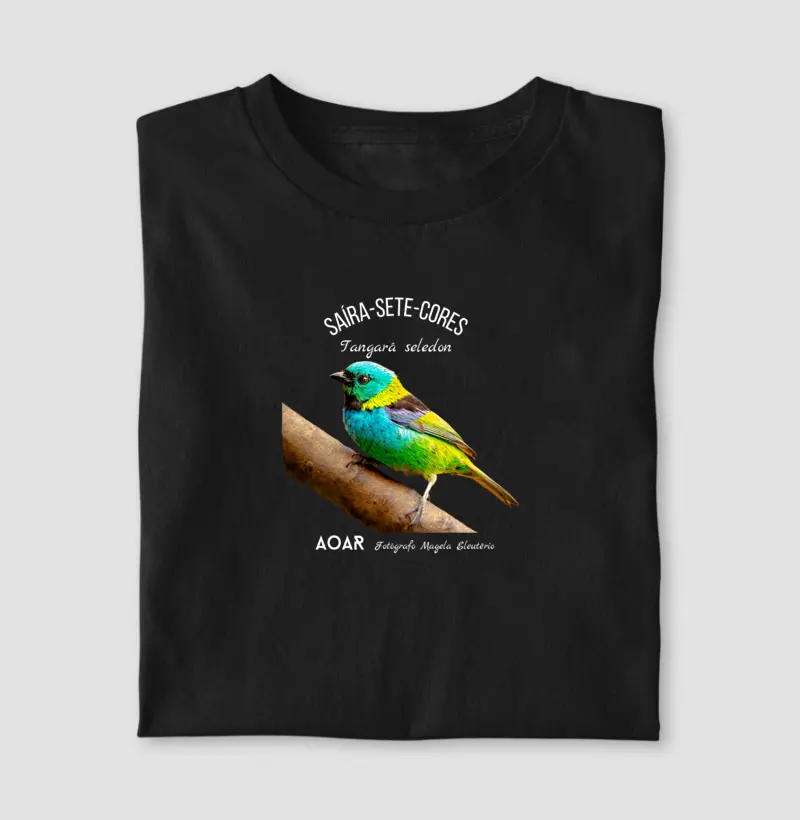 Aves da mata atlântica com Magela Eleutério SAÍRA-SETE-CORES 