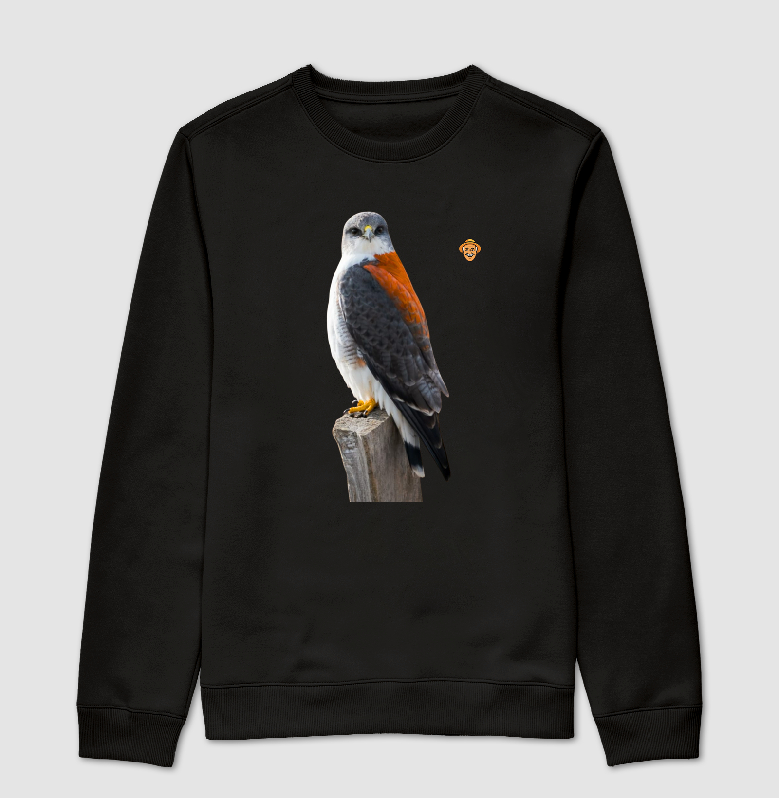 Falcão-de-peito-laranja