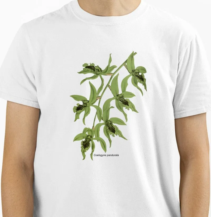 Camiseta Coelogyne pandurata t-shirt