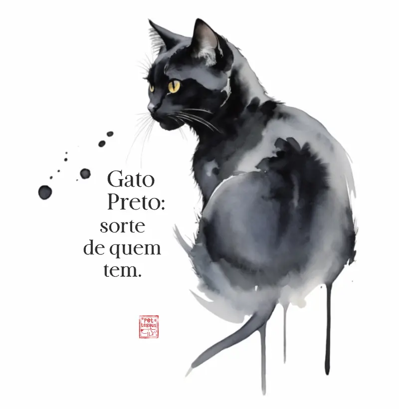Camiseta estampada Gato Preto