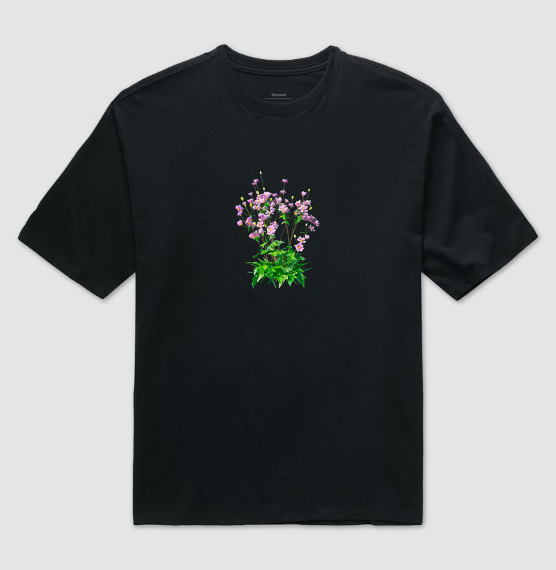 Coleção flores