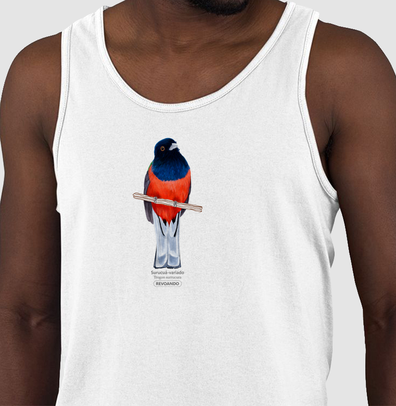 Aves do Brasil - Surucuá-variado - Regata