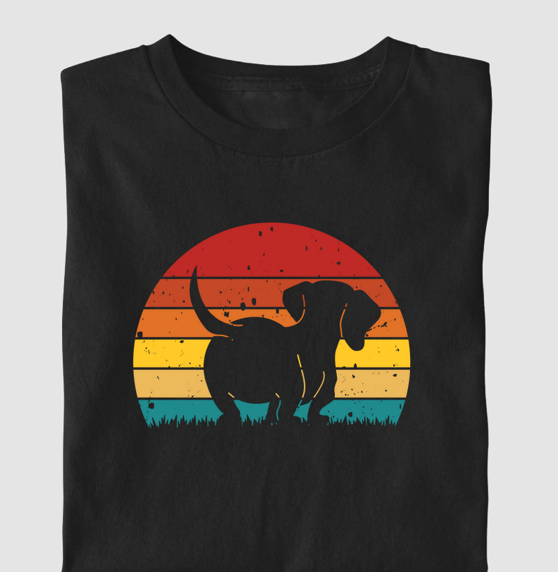 Cãozinho, pôr do sol (VET)