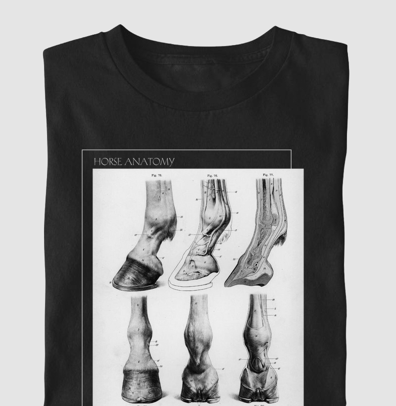 camiseta horse anatomy