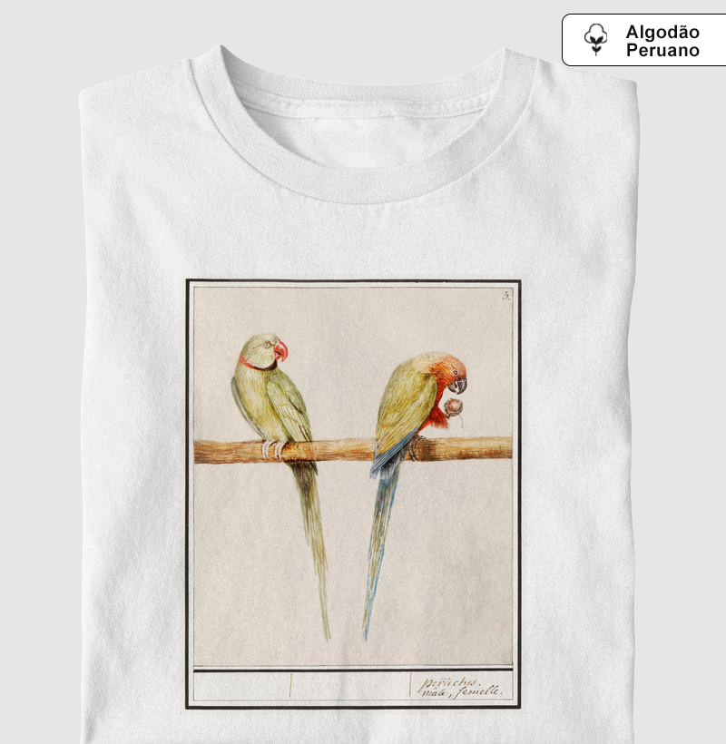 Alexandrine parakeet and red-breasted parakeet