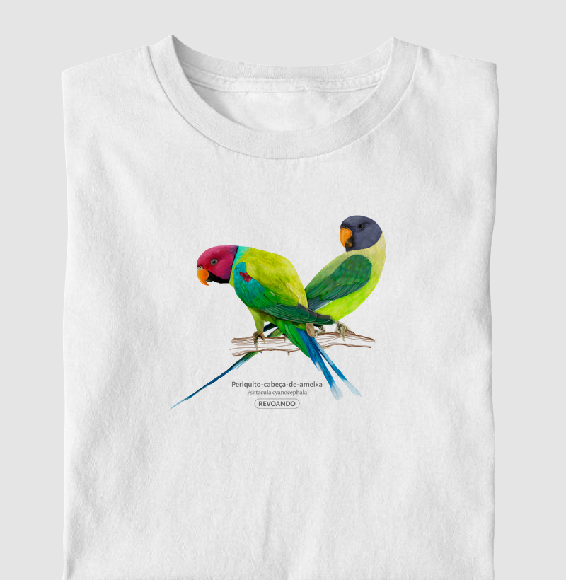 Love Friends - Periquito-cabeça-de-ameixa - Infantil