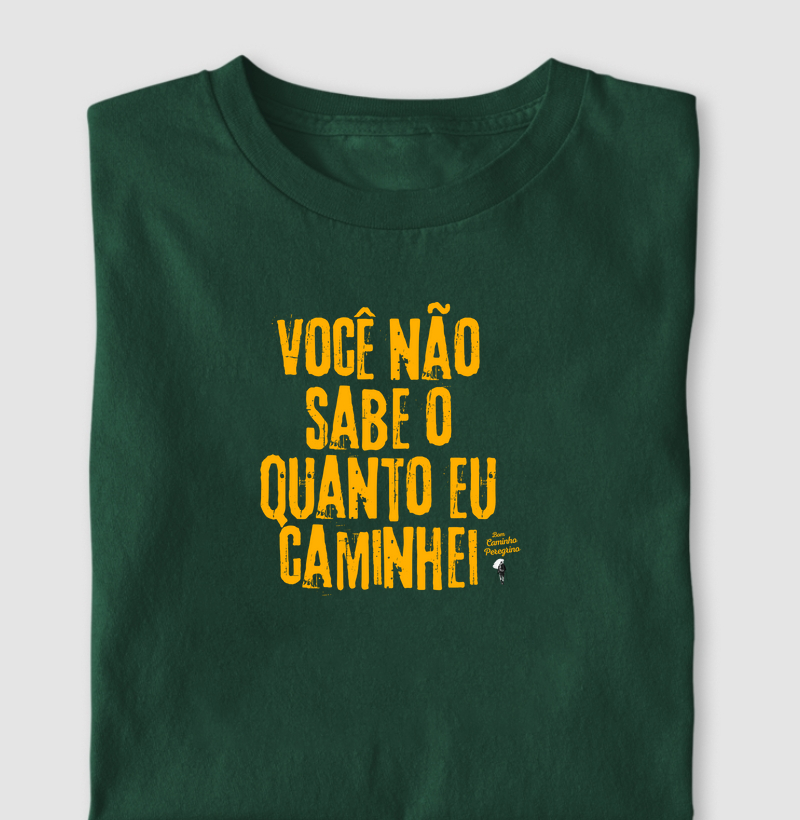 Você Não Sabe o quanto Caminhei