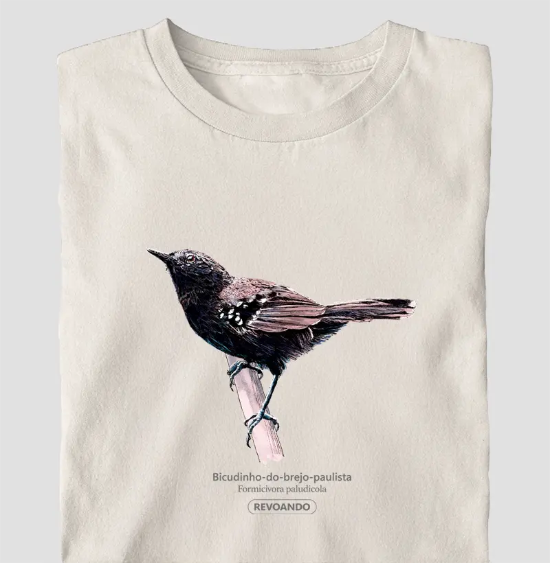 Aves do Brasil - Bicudinho-do-brejo-paulista - Oversized